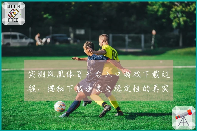 实测凤凰体育平台入口游戏下载过程，揭秘下载速度与稳定性的真实体验