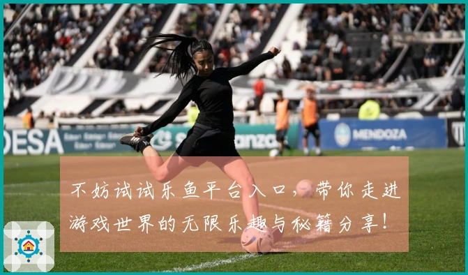 不妨试试乐鱼平台入口，带你走进游戏世界的无限乐趣与秘籍分享！