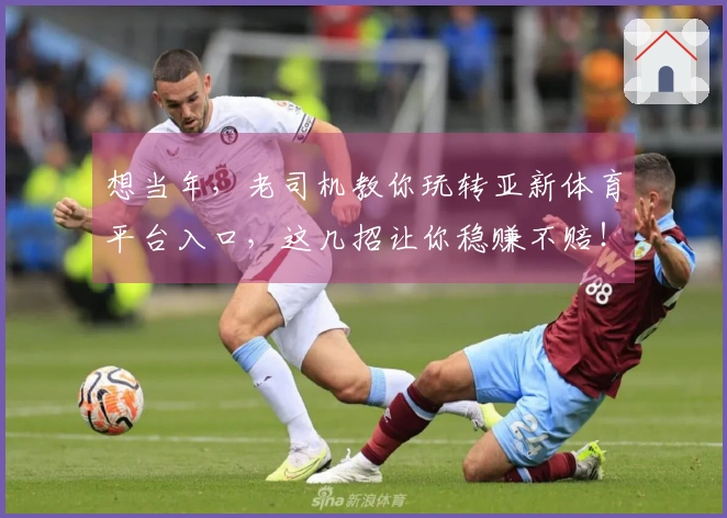 想当年，老司机教你玩转亚新体育平台入口，这几招让你稳赚不赔！